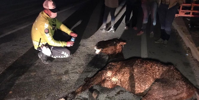 Saatlerce soğukta tedavi edilmeyi bekledi