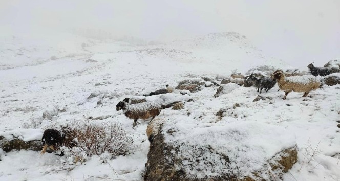 Şırnak’ta dağlar beyaza büründü