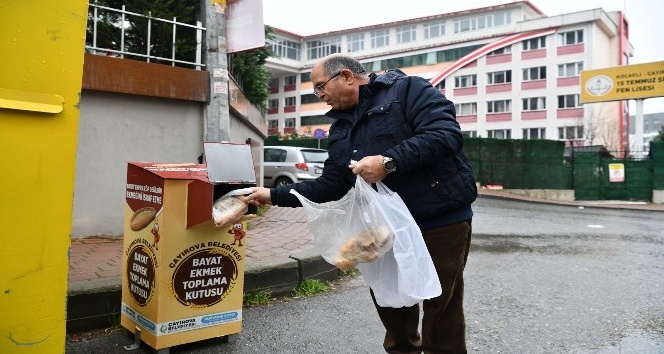 Çayırova’da bayat ekmekler sokak hayvanlarına gidiyor