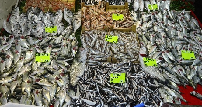 Çanakkale’de balıkçı tezgahları hafta sonu açık olabilecek