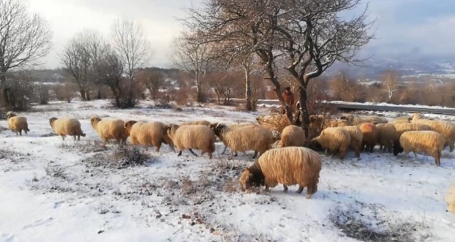 Tokat’ta yüksek kesimler beyaz örtü ile kaplandı