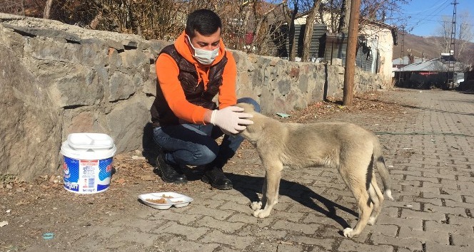 Hafta sonu kısıtlamasında sokak hayvanlarını besledi