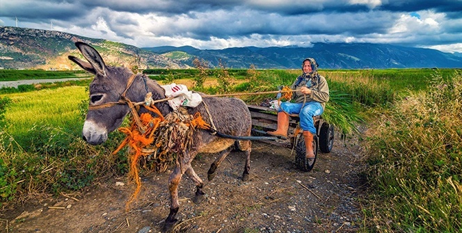 Bir fotoğrafçının gözünden: 'Samandağ'