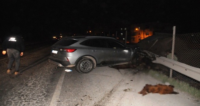 Cizre’de yola çıkan koyunlar zincirleme kazaya neden oldu