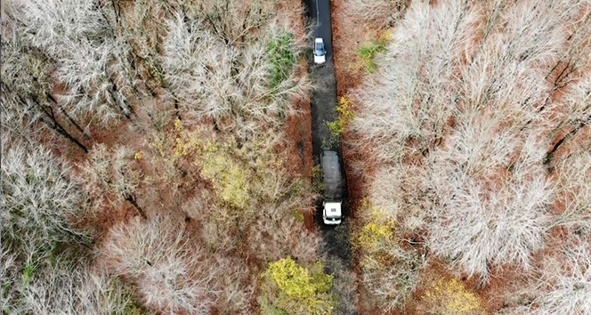 Belgrad Ormanı’nda renk cümbüşü