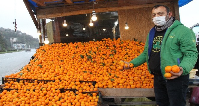 Vitamin deposu Derepazarı mandalinası tezgahları süslüyor