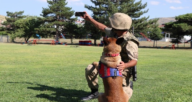 Jandarma, can dostları köpekler için kısa film çekti