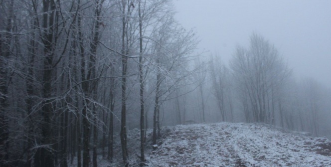 Turizm merkezlerinde kar sevinci