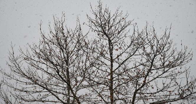 Beytüşşebap beyaza büründü