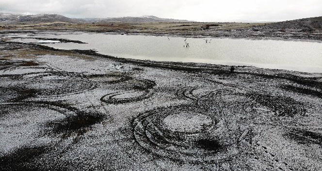 Ortaya çıkan ağaçlar, yaşanan kuraklığı ortaya koydu