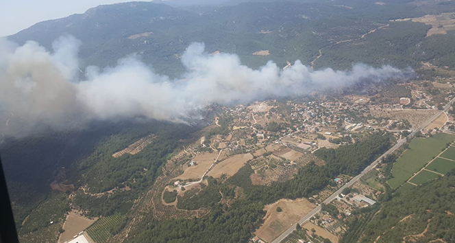 İzmir’de 430 hektar ormanın yanmasına neden olduğu iddia edilen şüpheliye dava