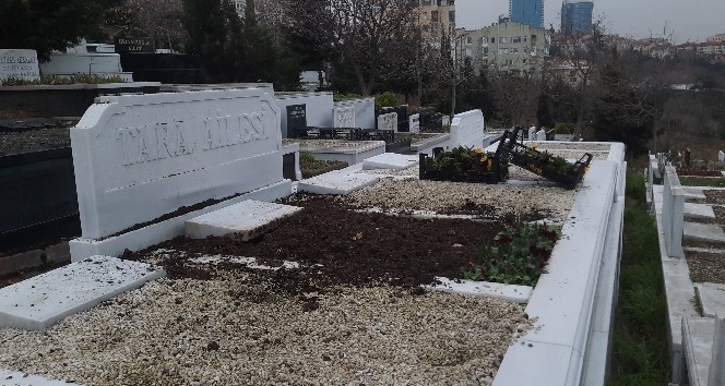 İş adamı Şarık Tara’nın mezarı babalık davası nedeniyle açıldı