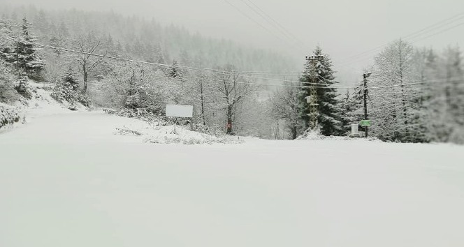 Artvin’de kar yağışı nedeniyle 29 köy yolu ulaşıma kapandı