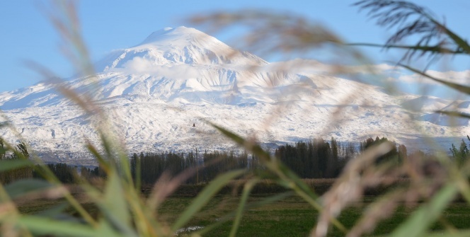 Ovanın yeşili ile bütünleşen Ağrı Dağı görenleri mest etti