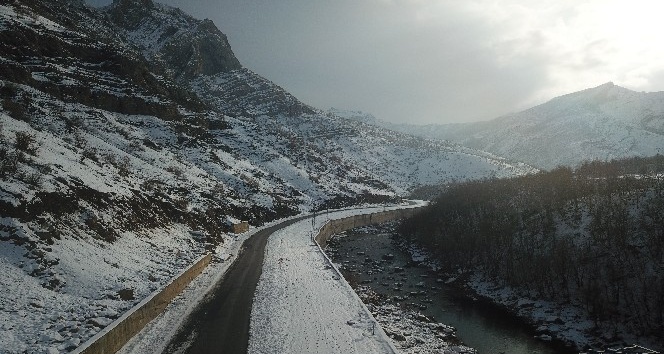 Meşe ormanları beyaza büründü
