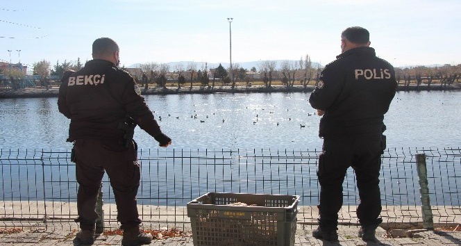 Kızılırmak’ta aç kalan kaz ve ördekleri polisler besledi