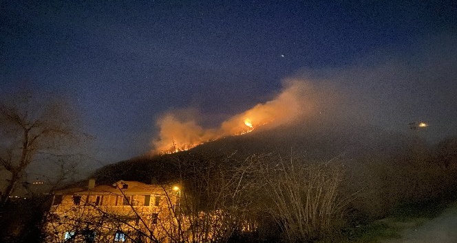 Ordu’da ormanı yangını