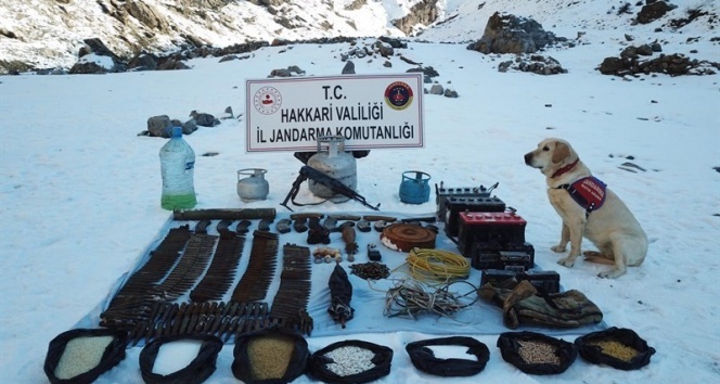 Hakkari'de silah ve mühimmat ele geçirildi
