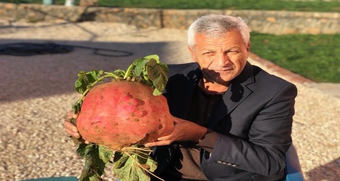 Mardin’de 8 kiloluk turp ilgi odağı oldu