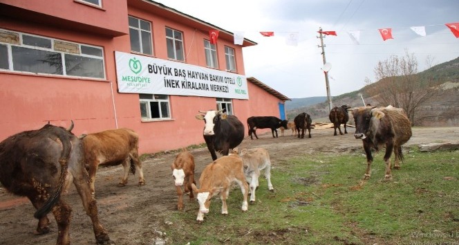 Hayvan Oteli’ne büyük ilgi