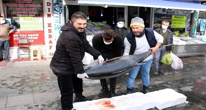 75 kilogramlık orkinos balığını 3 kişi zor kaldırdı