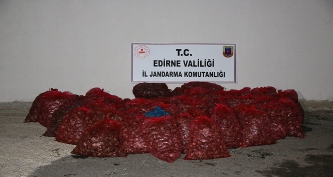 Edirne’de 1 ton kaçak kum midyesine 100 bin TL ceza kesildi