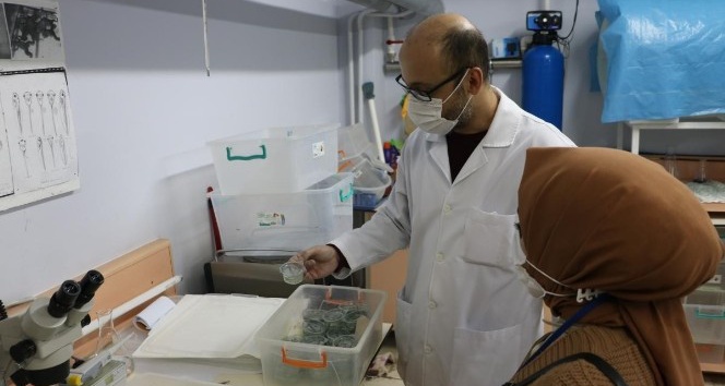 İlaçların olumsuz etkileri deney hayvanlar üzerinde araştırılıyor