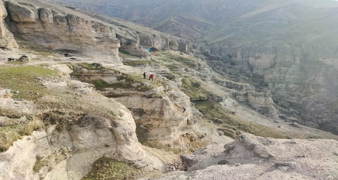 Tunceli’de kayalıklarda mahsur kalan keçileri AFAD ekipleri kurtardı