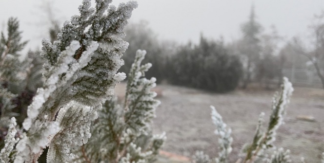 Ağaçlar kırağı tuttu, süs havuzları dondu