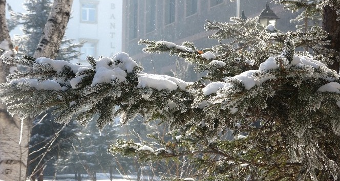 Ardahan’da Sibirya soğukları