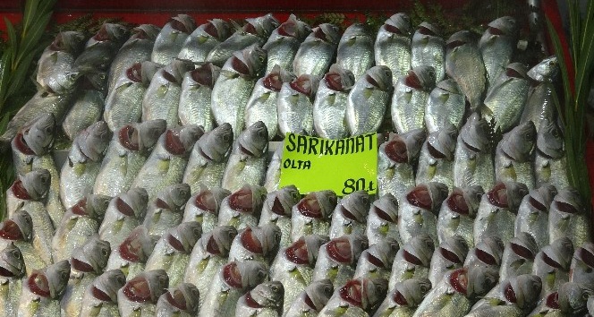 Yılbaşına saatler kala vatandaşlar balık tezgahlarına akın etti