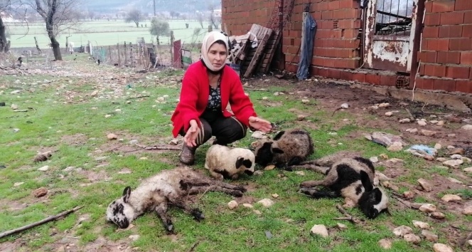 Esen ailesi yılın son günü dehşeti yaşadı