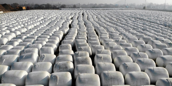 Dev kar taneleri gibi, görenleri şaşırtıyor