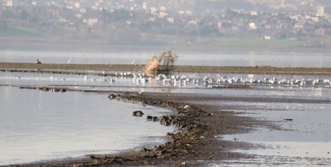 Büyükçekmece gölünde korkutan görüntü: Suyun çekildiği alanda yeni kıyı seti oluştu