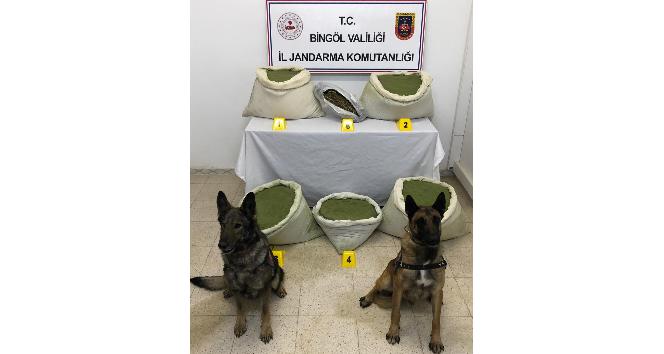Bingöl’de 117 kilogram esrar ele geçirildi