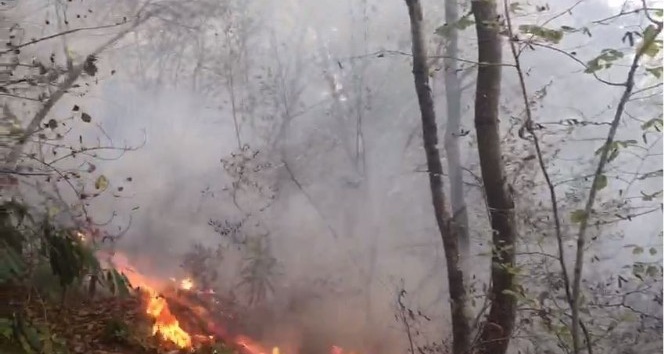 Giresun’da 4 günde 63 kırsal yangın meydana geldi