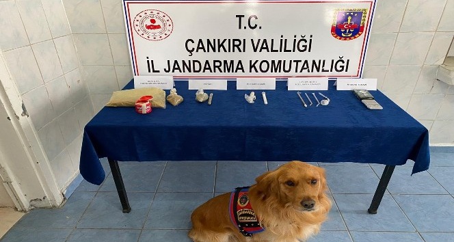 Çankırı’da uyuşturucu operasyonunda 1 tutuklama