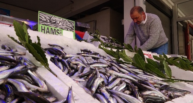 Yasak öncesi son hamsiler tezgahlarda