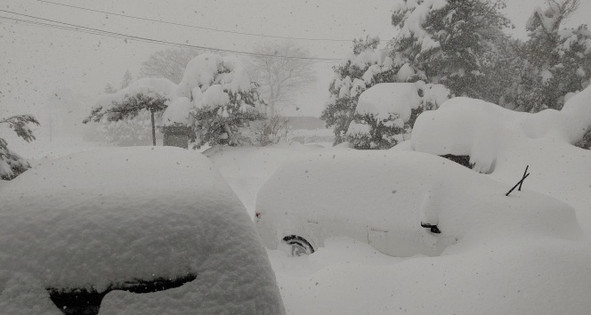 Japonya’da kar yağışı nedeniyle yüzlerce araç yolda kaldı, 1 kişi öldü