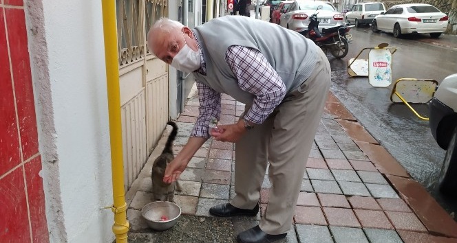 73 yaşındaki gurbetçi sokak hayvanlarını besliyor