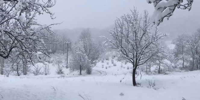 Her yer beyaza büründü!