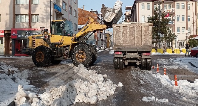 Kar kütleleri kamyonlarla kent merkezi dışına taşınıyor