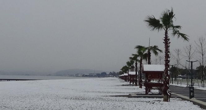 Edremit sahilleri 9 yıl aradan sonra kar yağışı ile birlikte beyaza büründü
