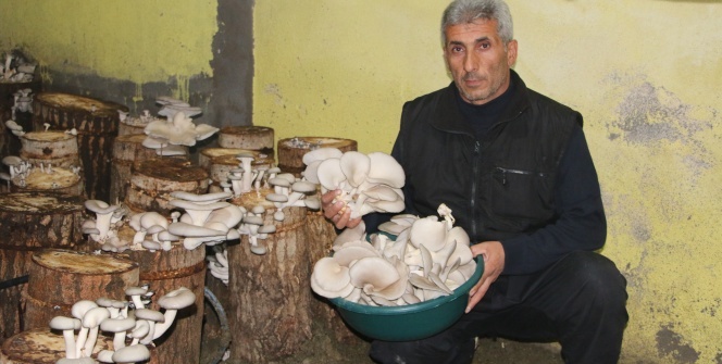 Bir torba ve bir kütük ile başladı şimdi siparişlere yetişemiyor