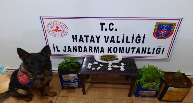 Hatay’da uyuşturucu operasyonu