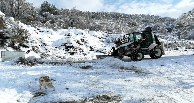 Devrek Belediyesi karla mücadele çalışmalarına devam ediyor