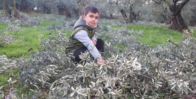 Aktarda kilosu 100 lira, bahçede bedava