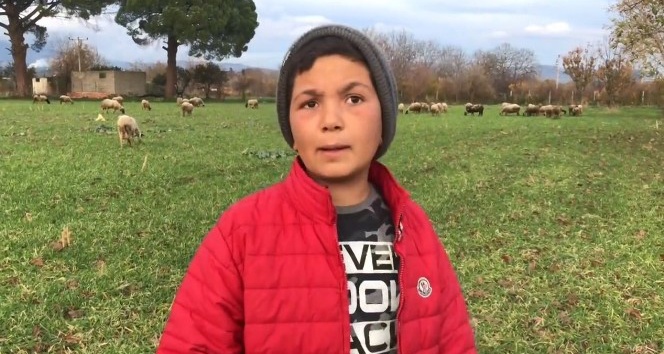 12 yaşındaki küçük çoban videolarındaki diyalogları ile sosyal medyanın yeni fenomeni oldu