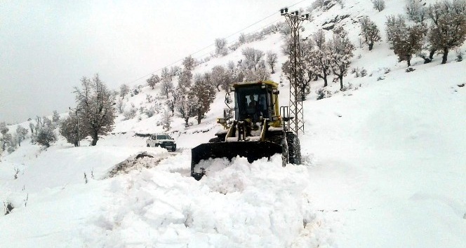 Siirt’te kar yağışı nedeniyle 64 köy yolu ulaşıma kapandı