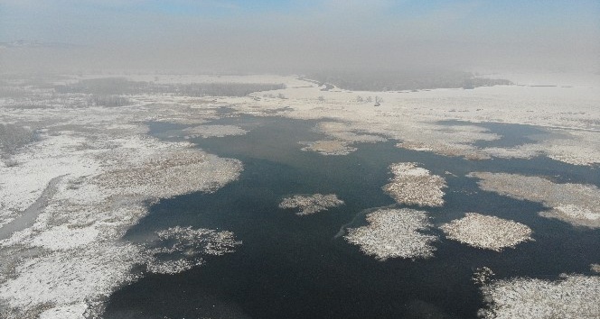 Sıcaklığın eksi 16’ya düştüğü Düzce’de Efteni Gölü buz tuttu